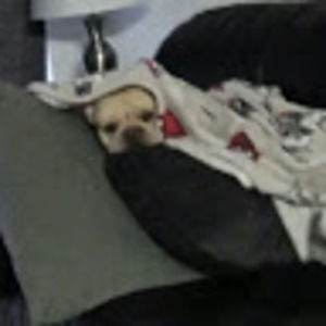 Meet your Posher, Ethan